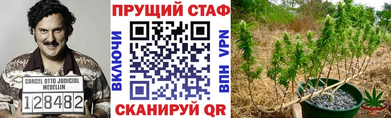 Купить наркотик Новороссийск COCAIN  МЕФ  Бутират  Конопля 