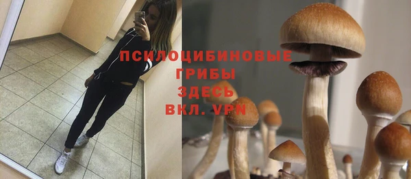 альфа пвп Арсеньев