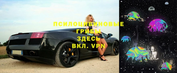 амф Аркадак