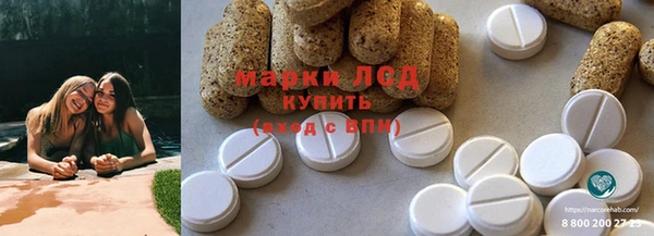 амф Аркадак