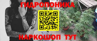 эйфоретик Нарткала