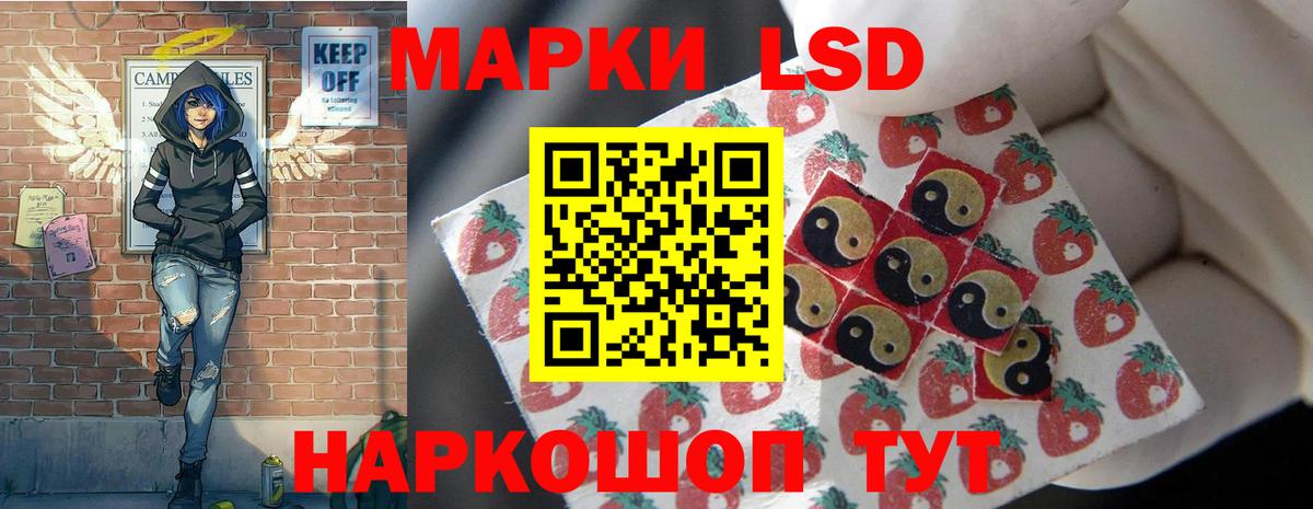 блэк спрут как войти  LSD-25 экстази кислота  Новороссийск  Вход с VPN  LSD-25 экстази кислота 