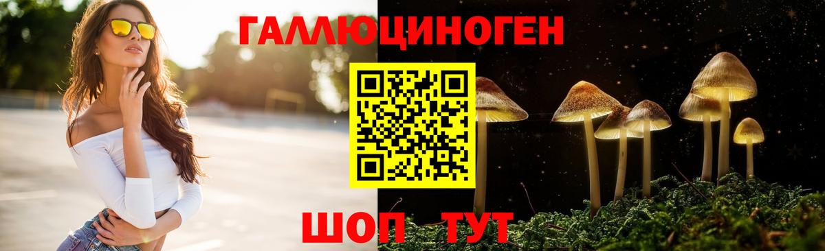 Галлюциногенные грибы прущие грибы  Вход с VPN  Новороссийск 